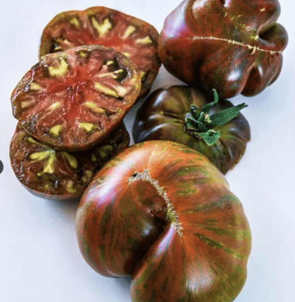 Tomato - Large Barred Boar  (3.25" pot)